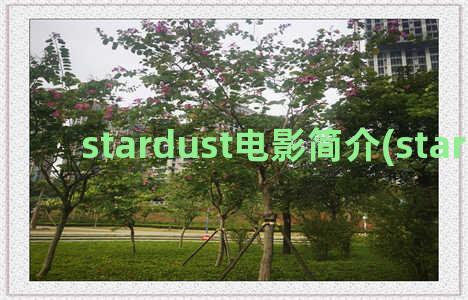 stardust电影简介(stardust dia)